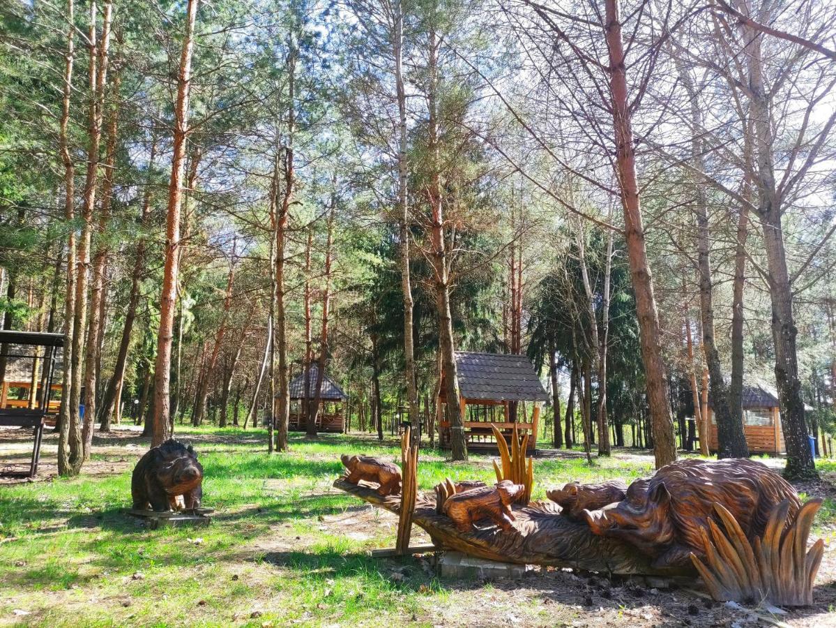 Мисливець В Комплексі "Сокіл" Hotel Susk Exterior photo